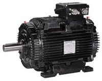 B3 6-P   7,50kW 160 IE3 4/6V  Virkestorksmotor WT160M6