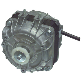 or282048.jpg 